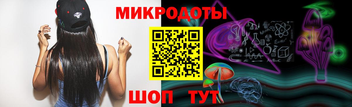 Галлюциногенные грибы Psilocybe Новоалтайск